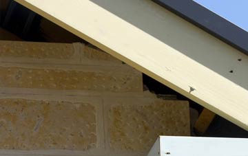 soffit repair Llandenny Walks